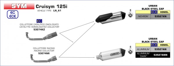 53074KZ-Arrow Verbindungsrohr mit Kat SYM CruiSym 125i 18-20